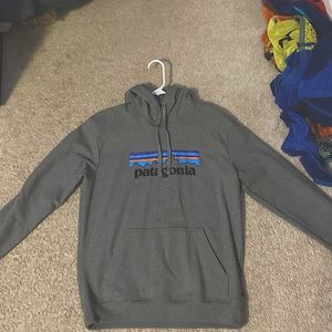 Mens Patagonia Hoodie